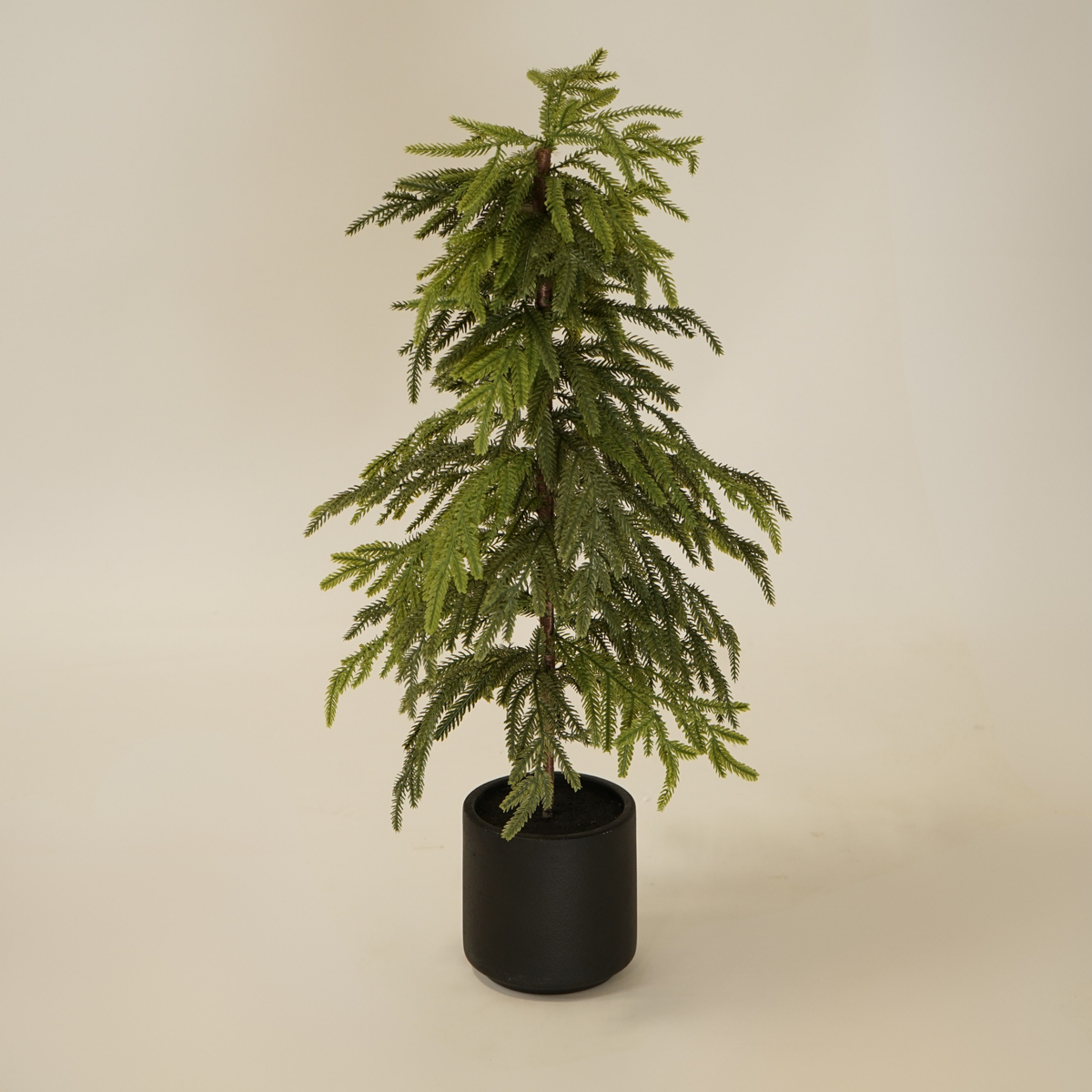2.5' Weeping Norfolk Pine Faux Tree