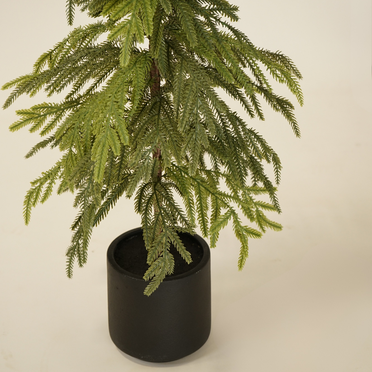 2.5' Weeping Norfolk Pine Faux Tree
