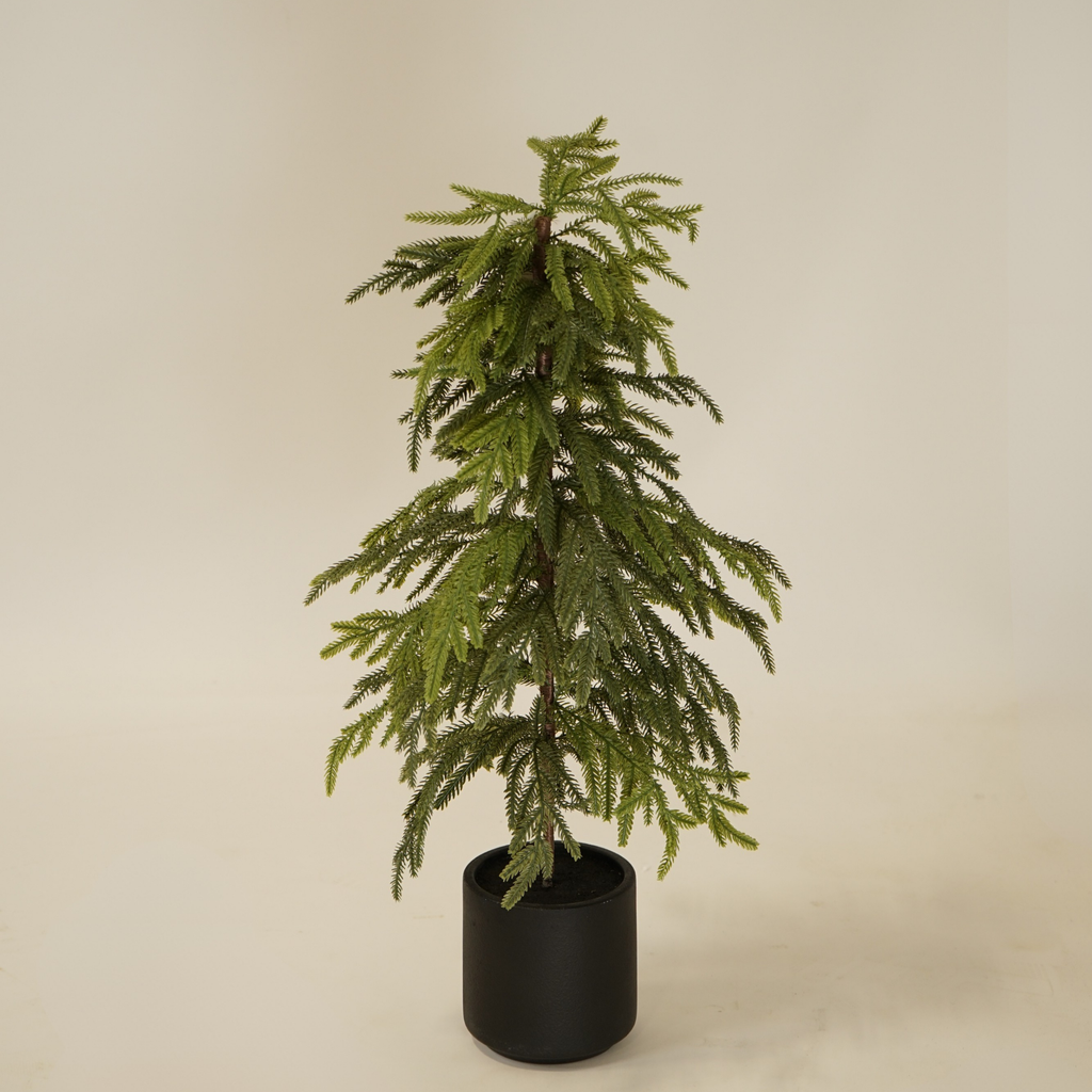 2.5' Weeping Norfolk Pine Faux Tree