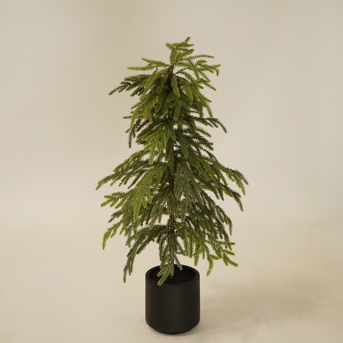 2.5' Weeping Norfolk Pine Faux Tree