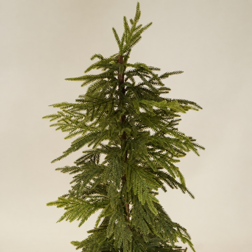 3.5' Weeping Norfolk Pine Faux Tree